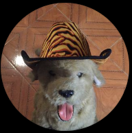 Logo de Don Segundo Berraco